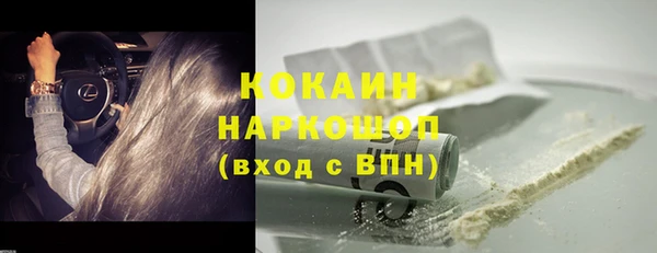 шишки Богданович